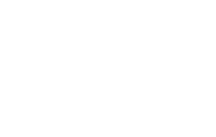 Southwest Connect Program Logo. Includes two interstate shields for I-4 and I-75, two flying birds, a palm tree and three diagonal colored lines around text that reads Southwest Connect FDOT District One Interstate Program in all white